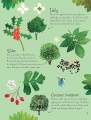 Фото Trees to Spot. Usborne Minis 6