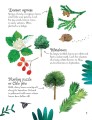 Фото Trees to Spot. Usborne Minis 8
