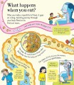Фото Look Inside. What Happens When You Eat 4