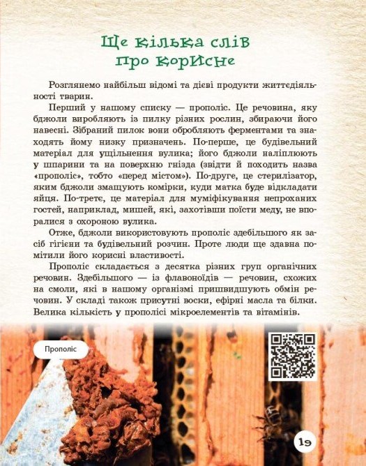 Hidden Product Image 6
