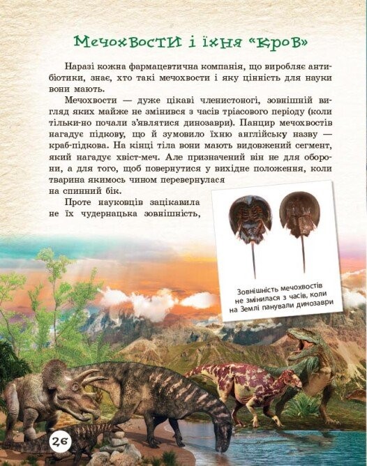 Hidden Product Image 7