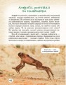 Фото Тварини навколо нас 9