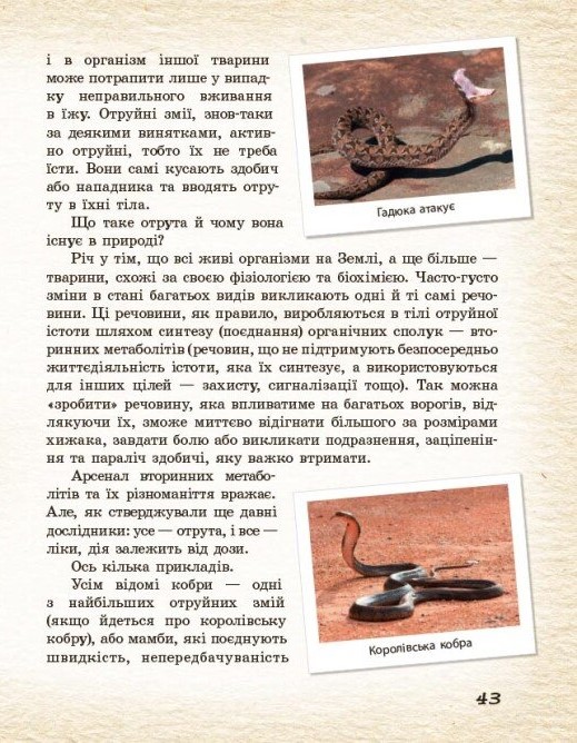 Hidden Product Image 10