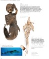 Фото Fantastic Beasts: The Wonder of Nature 2