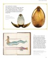 Фото Fantastic Beasts: The Wonder of Nature 3