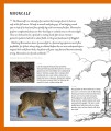 Фото Fantastic Beasts: The Wonder of Nature 4