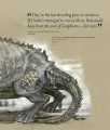 Фото Fantastic Beasts: The Wonder of Nature 7