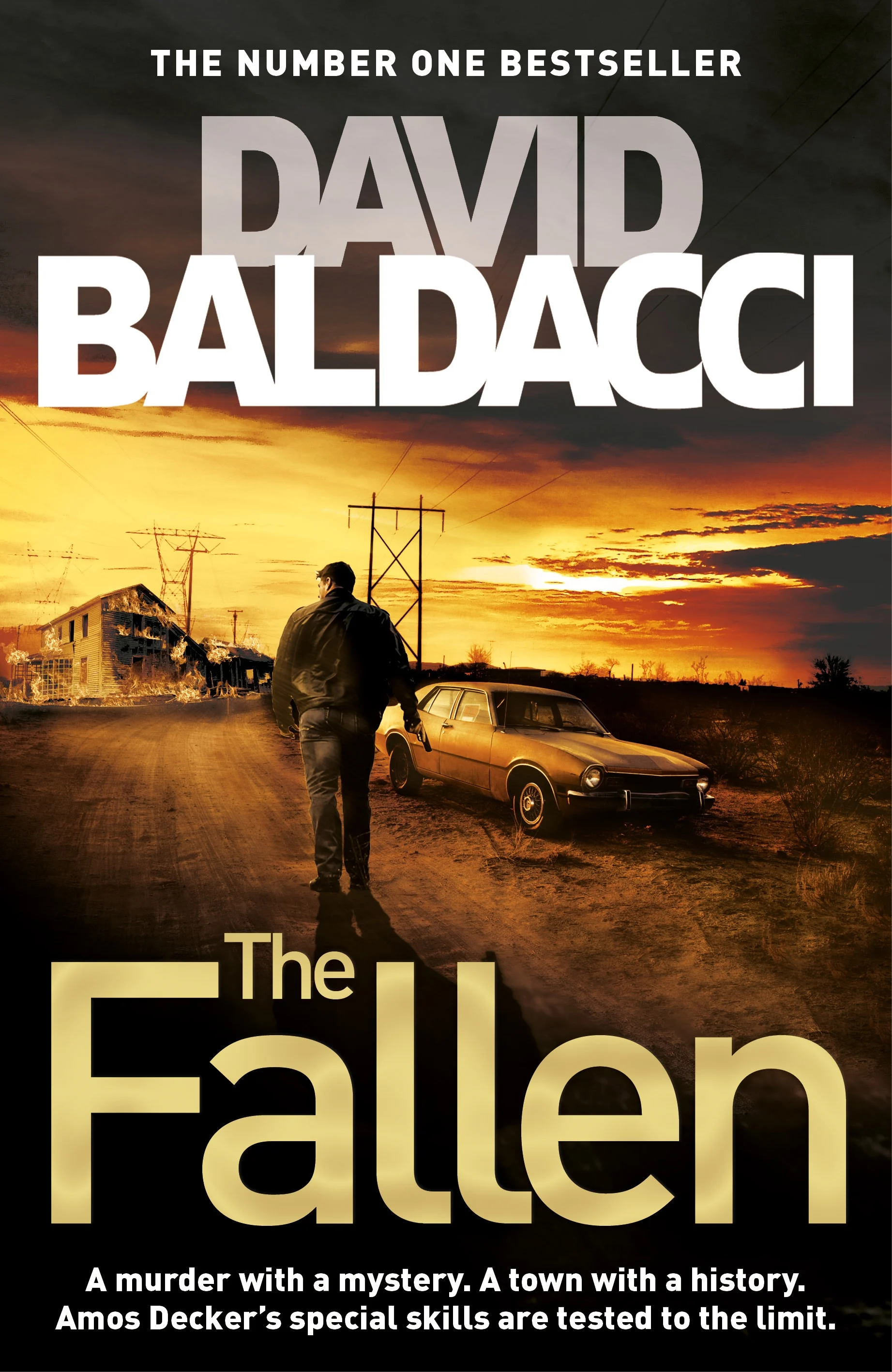 Amos Decker. Fallen. Book 4