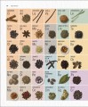 Фото The Science of Spice 3