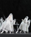 Фото Ballet. The Definitive Illustrated Story 12