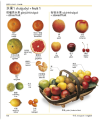 Фото Mandarin Chinese-English Bilingual Visual Dictionary 7