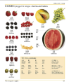Фото Mandarin Chinese-English Bilingual Visual Dictionary 8