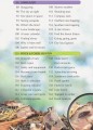 Фото Nature Explorer. Box Set 4