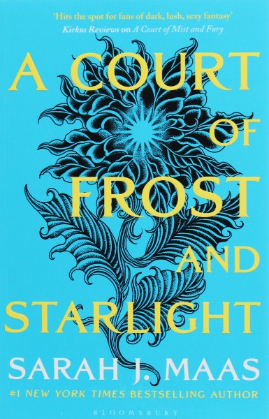 Фото A Court of Frost and Starlight