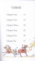 Фото The Dragon's Dentist. Early Reader 4