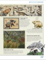 Фото Art Year by Year 3
