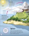 Фото Life Cycles. Everything from Start to Finish 2