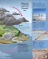 Фото Life Cycles. Everything from Start to Finish 3
