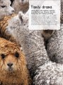 Фото Animal Antics 3