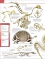 Фото Animal Knowledge Genius 2