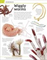 Фото Animal Knowledge Genius 4
