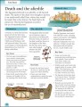 Фото Eyewitness Workbooks. Ancient Egypt 2