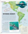 Фото Amazing Animal Journeys 4
