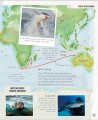 Фото Amazing Animal Journeys 5
