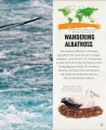 Фото Amazing Animal Journeys 3