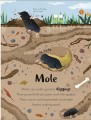 Фото The Bedtime Book of Animals 5