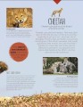 Фото Born to be Wild. How Baby Animals Survive and Thrive 3