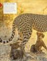 Фото Born to be Wild. How Baby Animals Survive and Thrive 4