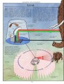 Фото The Way Things Work 2