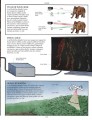 Фото The Way Things Work 3