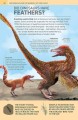Фото 1000 Amazing Dinosaur Facts 2
