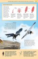 Фото 1000 Amazing Dinosaur Facts 3