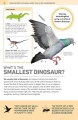 Фото 1000 Amazing Dinosaur Facts 4