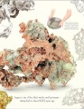 Фото An Anthology of Our Extraordinary Earth 5