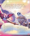 Фото The Book of Mysteries, Magic, and the Unexplained 3