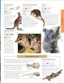 Фото Animals A Children's Encyclopedia 3
