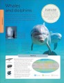 Фото Animals A Children's Encyclopedia 4