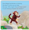 Фото Pop-Up Peekaboo! Monkey 2