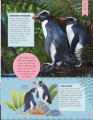 Фото Odd Animals Out 3