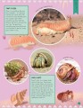 Фото Odd Animals Out 5