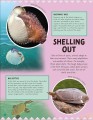 Фото Odd Animals Out 4