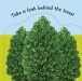 Фото Pop-Up Peekaboo! Farm 3
