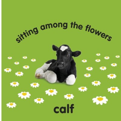 Baby Touch and Feel. Farm Animals