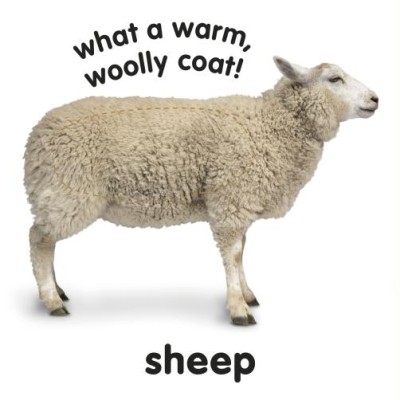 Baby Touch and Feel. Farm Animals