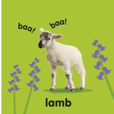 Baby Touch and Feel. Farm Animals