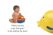 Фото Peekaboo! Bathtime 2